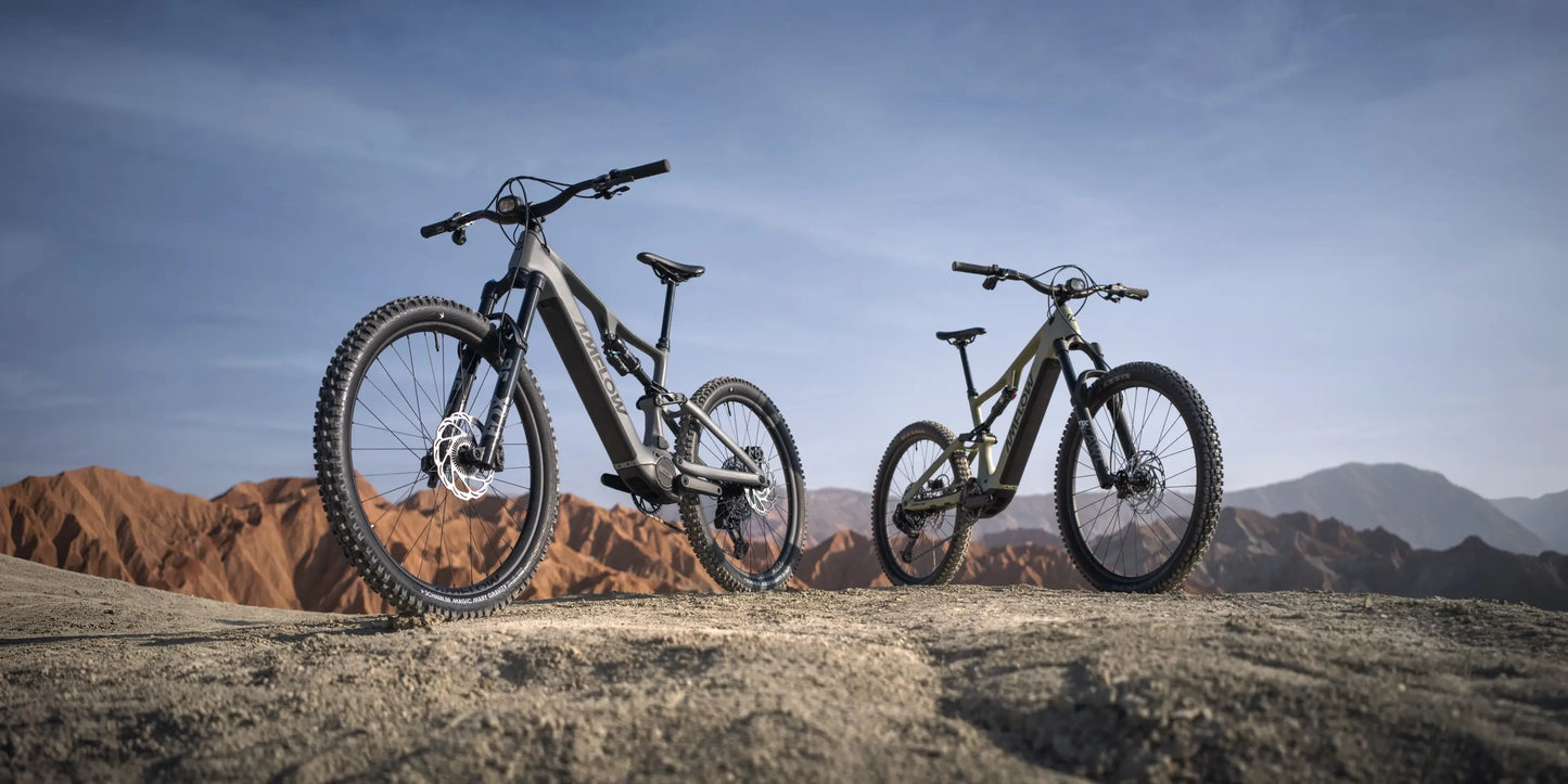 AMFLOW PR CARBON 2027