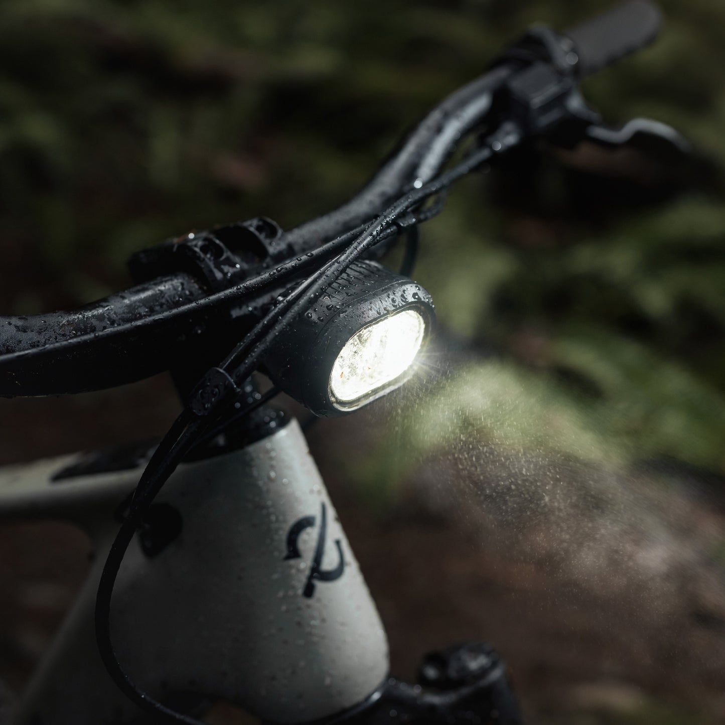 AMFLOW PX CARBON PRO 2027