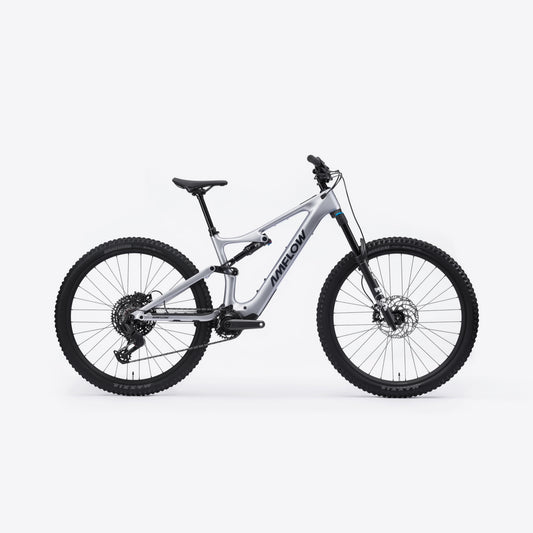 AMFLOW PL CARBON 800W 2026