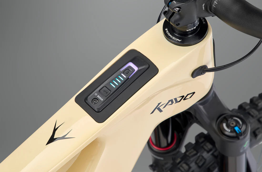WHYTE KADO RS ELECTRIC MOUNTAIN BIKE