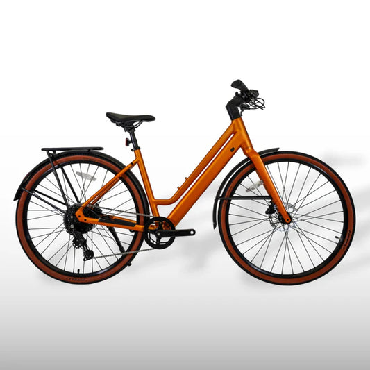 ESTARLI E28.9 ELECTRIC LEISURE BIKE
