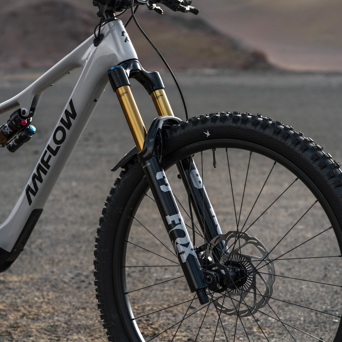 AMFLOW PX CARBON PRO 2027